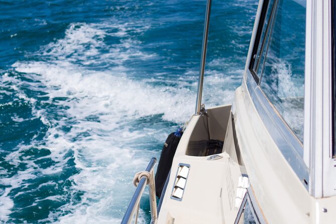 Private Sailing Tours in Zadar Archipelago - What the private format changes
