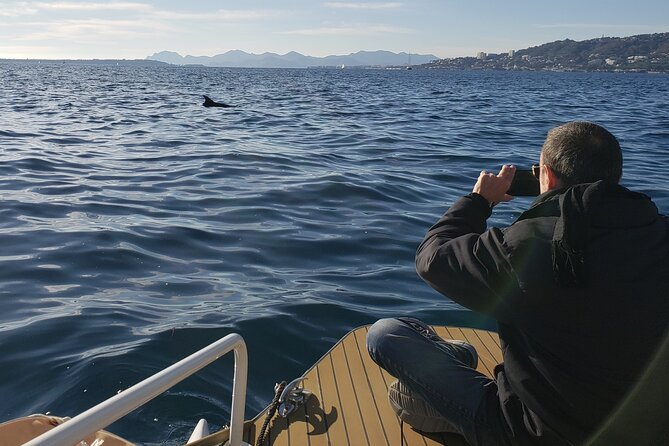 Private Solar Catamaran Cruise in Antibes Juan les Pins - Is $89.98 per person a fair price?