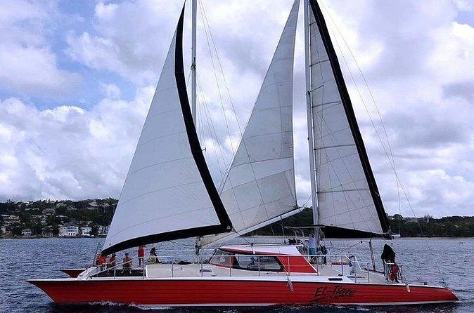 Private Tour: Barbados Catamaran Snorkeling Cruise - Lunch, beach time, and a slower afternoon