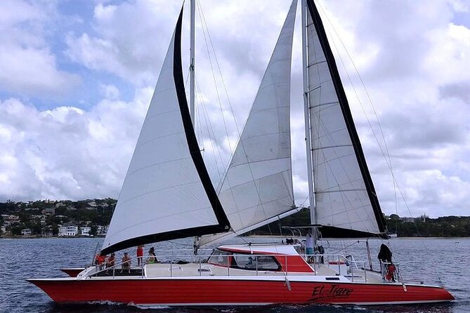 Private Tour: Barbados Catamaran Snorkeling Cruise - Small details that make the day easier