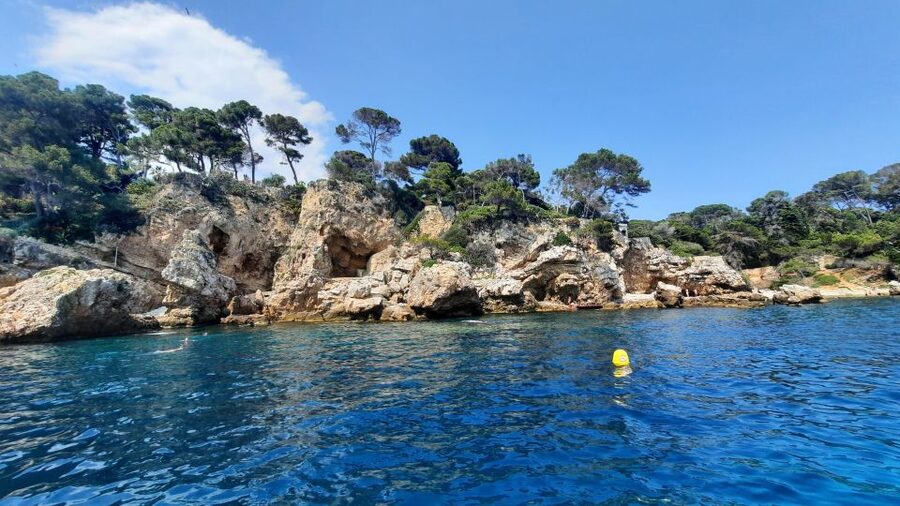 Private tour on a sailboat - Swim and paddle - Antibes Cape - The aperitif on board