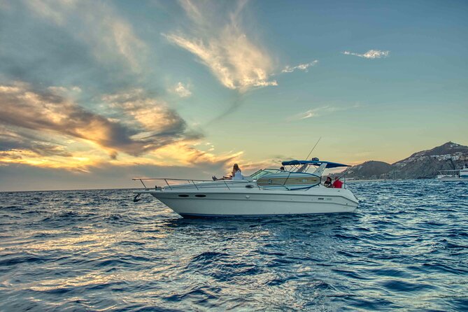 Private Whale Watching on Luxury Yacht in Cabo San Lucas - What the marine biologist guide adds