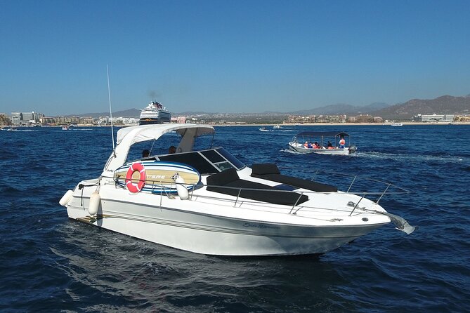 Private Whale Watching on Luxury Yacht in Cabo San Lucas - Drinks are included, while food needs clarification