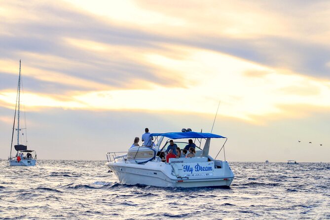 Private Whale Watching on Luxury Yacht in Cabo San Lucas - Timing, meeting point, and weather plans