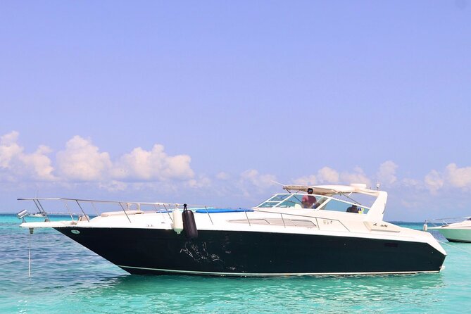 Private Yacht 46ft Sea Ray Snorkel up to 15 pax 23P2 - Choosing two, four, or six hours