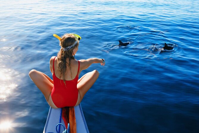 Private Yacht Cruise to Dolphin House with Lunch : Hurghada - First reef stop: an easy introduction to the Red Sea