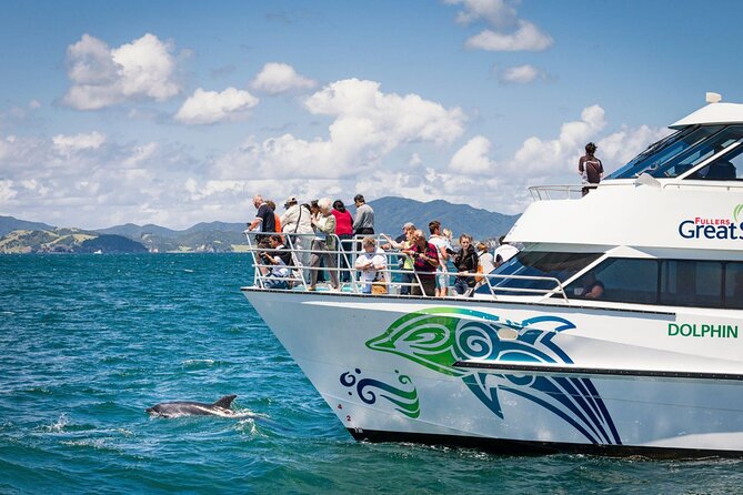 Private Yacht Cruise to Dolphin House with Lunch : Hurghada - Second snorkeling stop near Dolphin House
