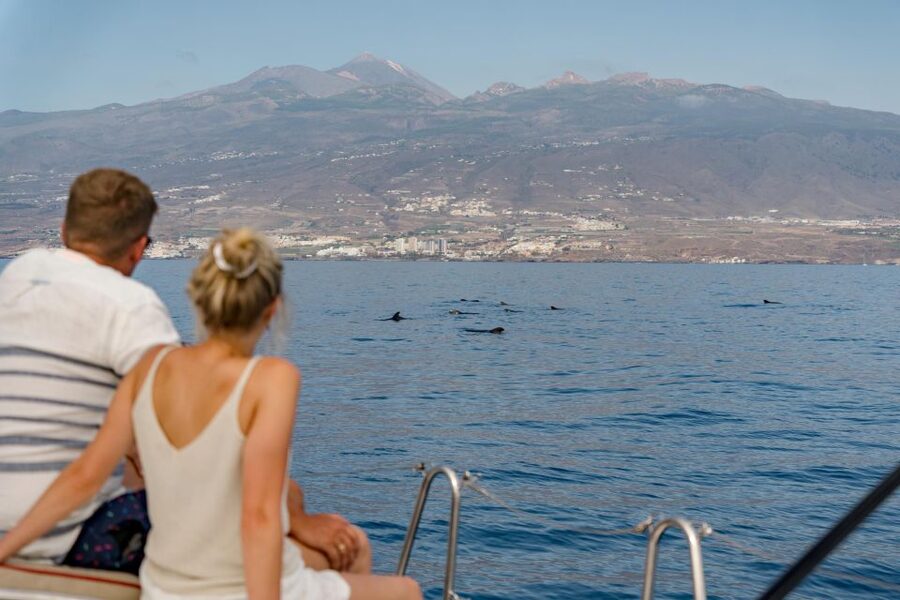 Puerto Colon: Whale and Dolphin Watching Yacht Trip - Is $56 good value?