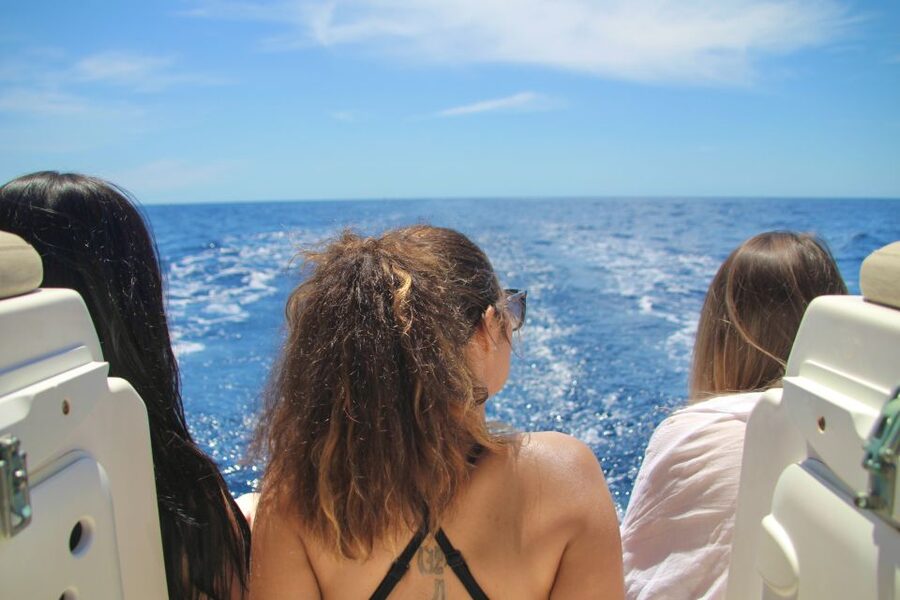 Puerto Colon : Whale & Dolphins Sailing Excursion - Diego Hernández Beach and the Swimming Stop