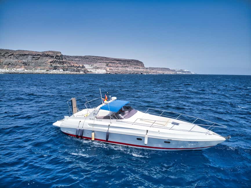 Puerto de Mogán: Private yacht for up to 9 people - Key points to know before booking