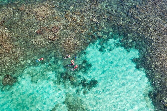 Puerto Morelos Catamaran Reef Sail and Snorkel - Why this Puerto Morelos catamaran trip works
