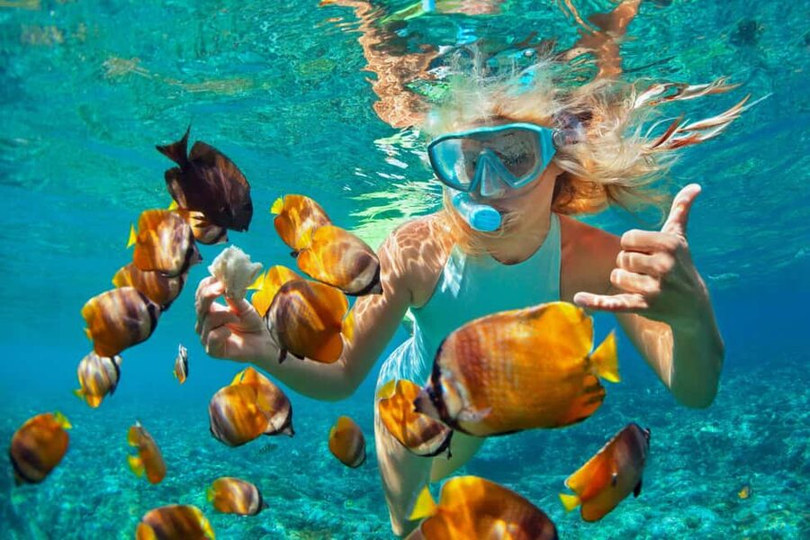 Puerto Plata: Catamaran Snorkeling Trip w/ Buffet & Open Bar - Setting Out From Sosúa Bay