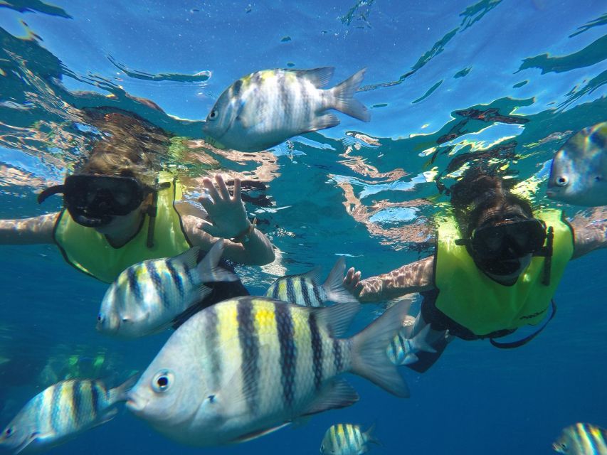 Puerto Plata: Catamaran Snorkeling Trip w/ Buffet & Open Bar - What the Five-Hour Schedule Really Means