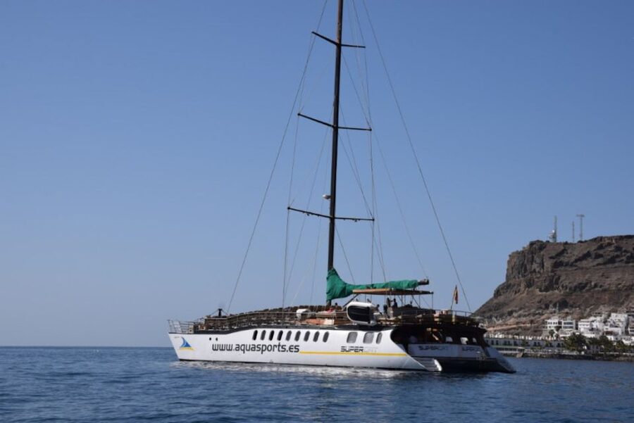Puerto Rico : 2 hour Dolphin Catamaran Excursion - Key points to know before sailing