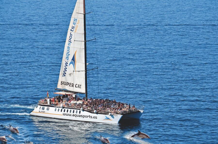 Puerto Rico : 2 hour Dolphin Catamaran Excursion - What the dolphin guarantee really means