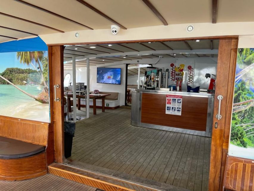 Puerto Rico : 2 hour Dolphin Catamaran Excursion - The marine life you might see