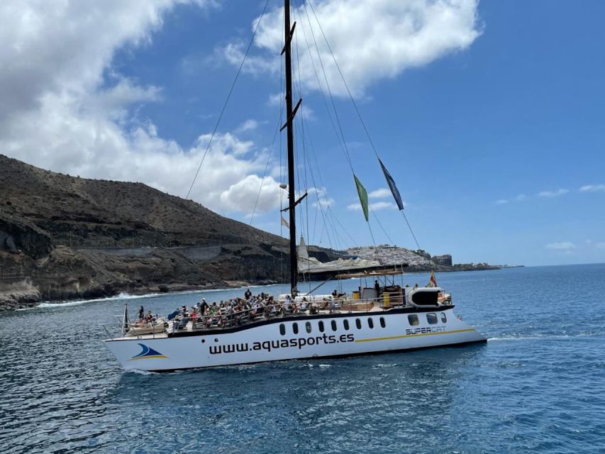 Puerto Rico : 2 hour Dolphin Catamaran Excursion - Practical tips for a better trip