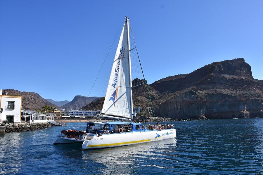 Puerto Rico: 4-Hour Catamaran Excursion in the South - Should you book this Puerto Rico catamaran trip?