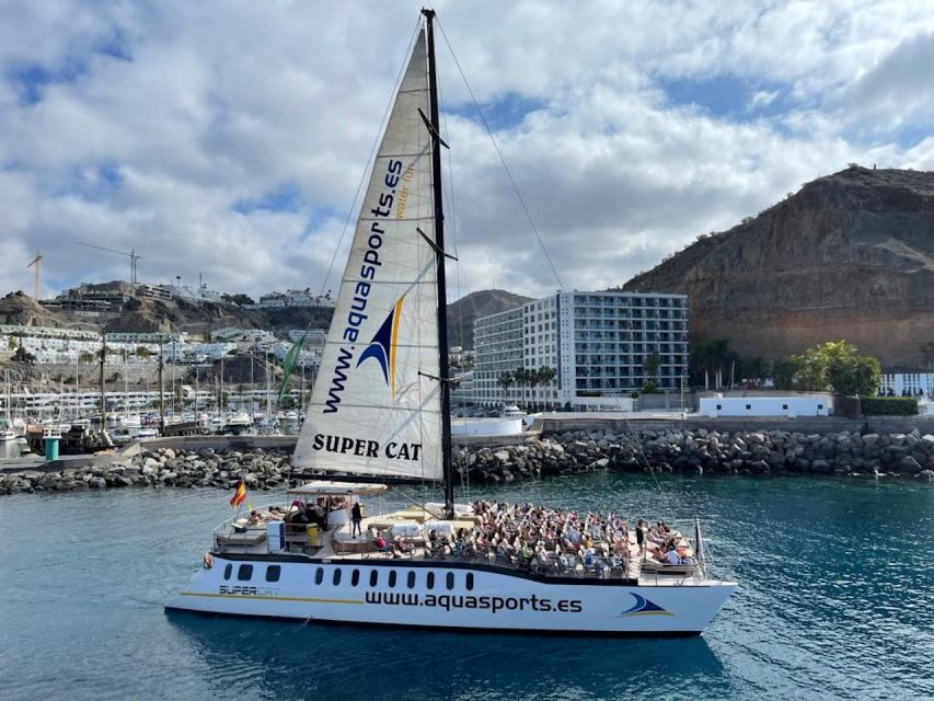 Puerto Rico de Gran Canaria: Premium Dolphin Catamaran Tour - Should You Book the Puerto Rico Dolphin Catamaran?