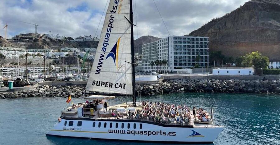 Puerto Rico de Gran Canaria: Premium Dolphin Catamaran Tour - Lunch, Open Bar, and Life On Board