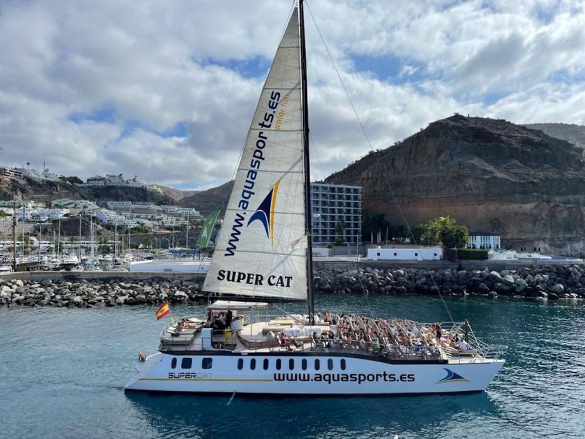Puerto Rico de Gran Canaria: Premium Dolphin Catamaran Tour - The Swimming Stop and Included Water Fun