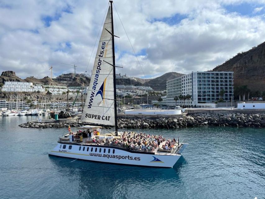 Puerto Rico de Gran Canaria: Premium Dolphin Catamaran Tour - Understanding the Two-Part Schedule