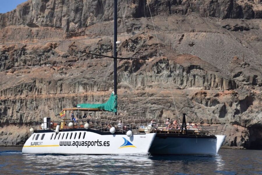 Puerto Rico de Gran Canaria: Premium Dolphin Catamaran Tour - Is $75 a Fair Price?