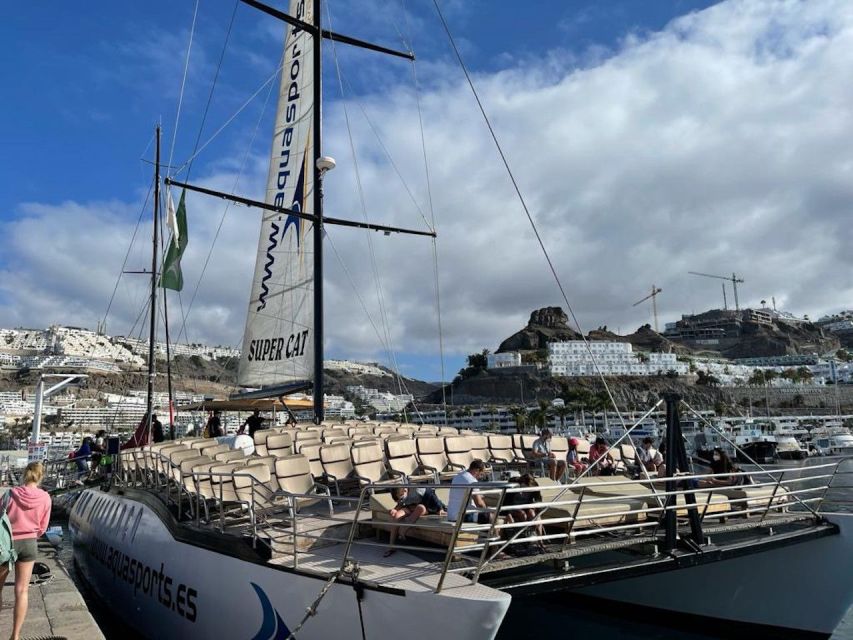 Puerto Rico de Gran Canaria: Premium Dolphin Catamaran Tour - Who Will Enjoy This Catamaran Most?