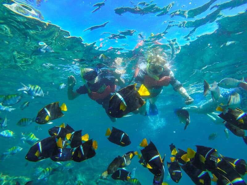 Puerto Vallarta: Luxury Day Sailing Tour of Bay of Banderas - Check-in at Vallarta Adventures
