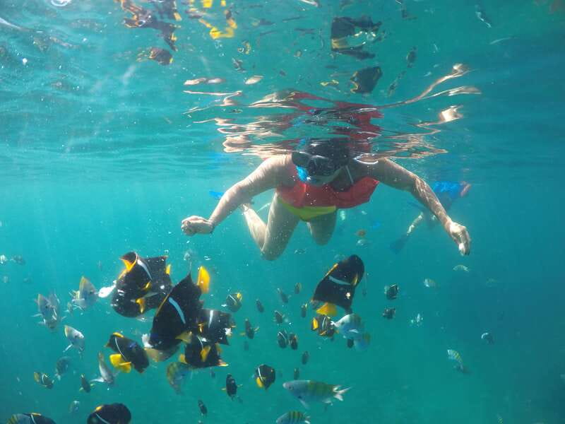 Puerto Vallarta: Luxury Yacht Tour with Lunch and Open Bar - What the $119 price really buys you