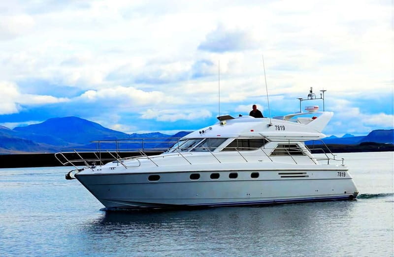 Puffin Watching Yacht Cruise from Downtown Reykjavík - Booking details worth knowing