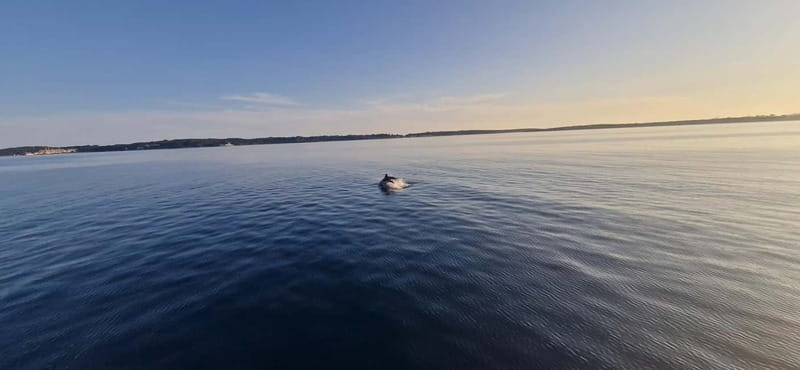 Pula: Half or Full day boat tour on yacht with skipper - Eating onboard, with drinks included