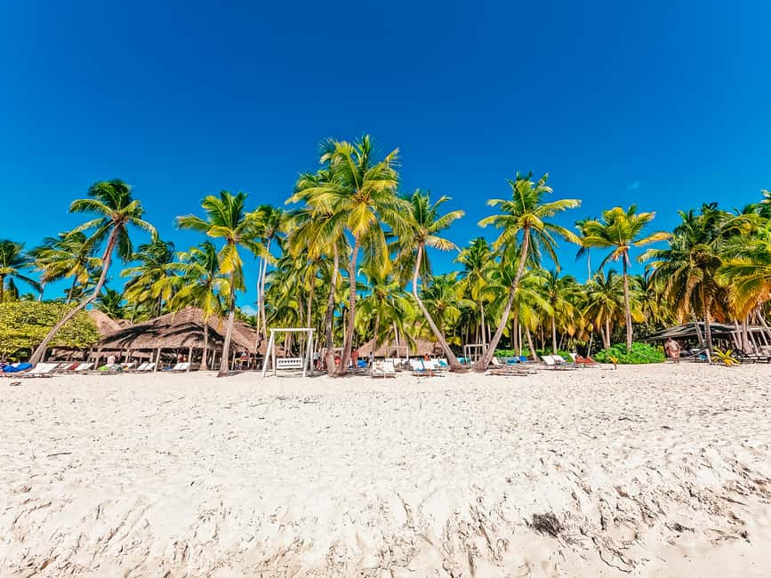 Punta Cana: Catamaran Boat to Saona Island with Buffet Lunch - Who should book this Saona excursion?