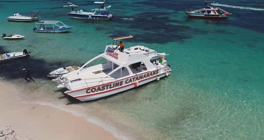 Punta Cana: Catamaran Tour with Reef Snorkeling and Open Bar - Snorkeling with fish in clear, shallow water
