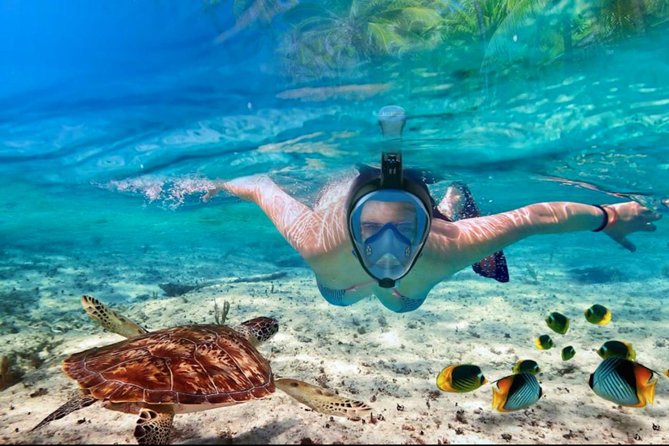 Punta Cana Combo Tour: Snorkeling, Catamaran Cruise & Parasailing - The crew can make or break the experience