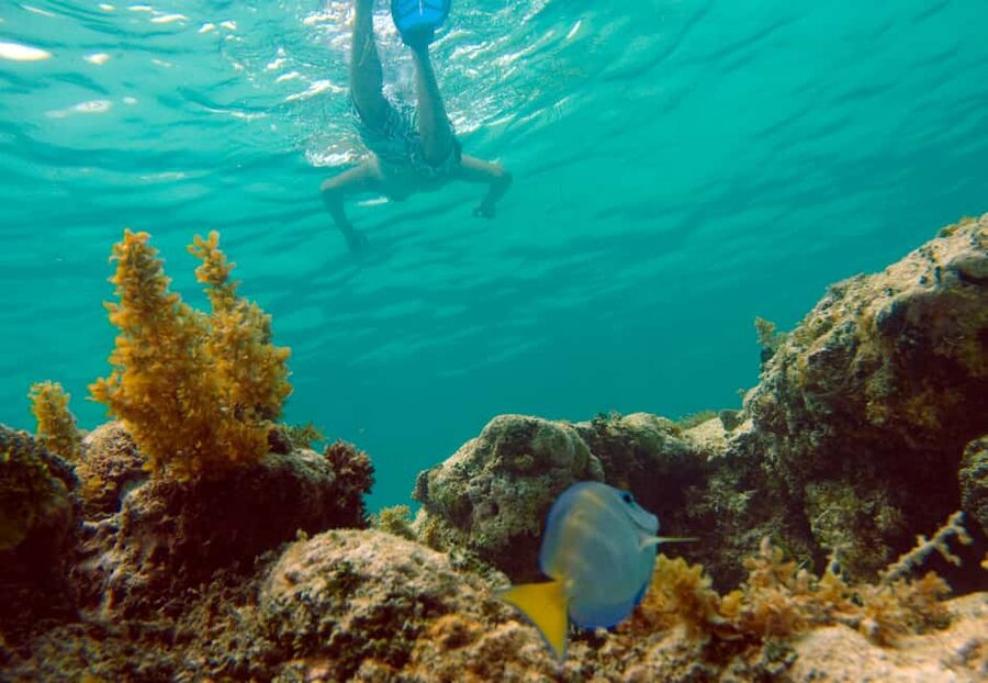 Punta Cana Happy Hour Sailing Cruise - Key points at a glance