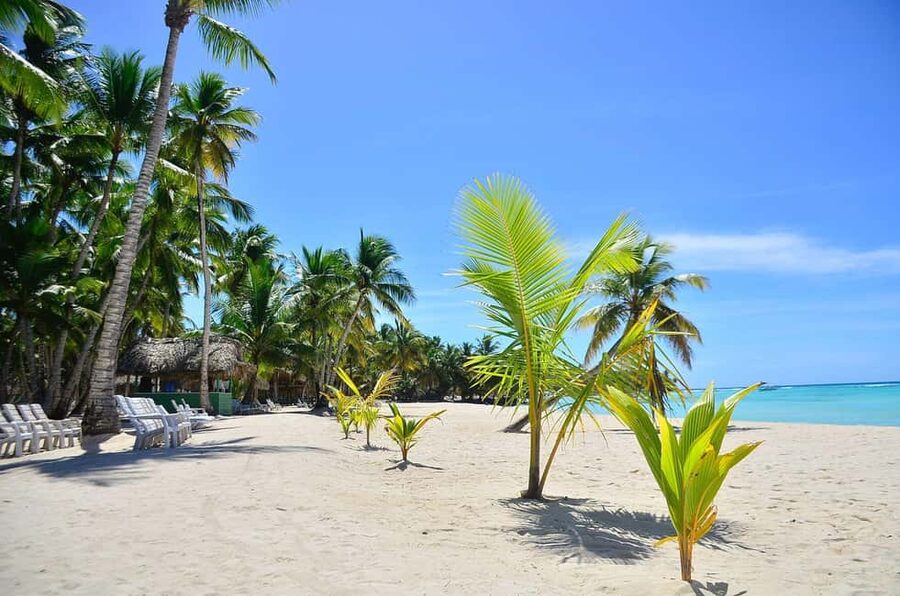 Punta cana: Island Escape to Saona • catamaran & Beach lunch - Key points to know before you book