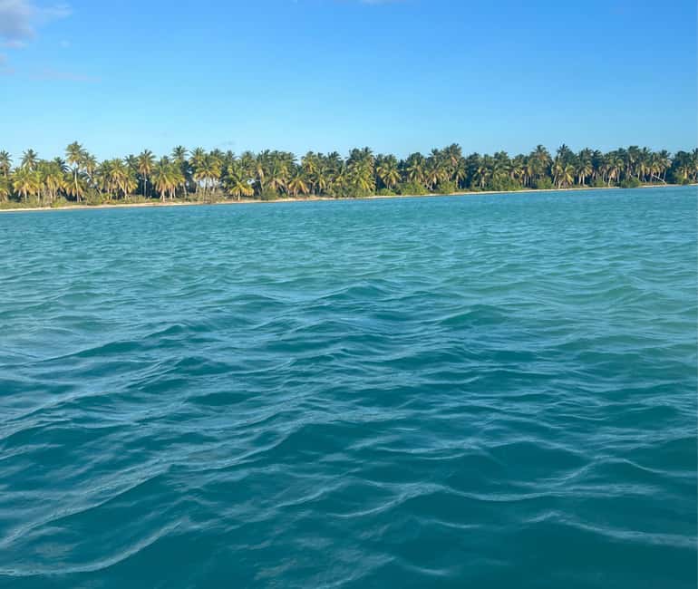 Punta cana: Island Escape to Saona • catamaran & Beach lunch - The natural pool is the day’s most unusual swim