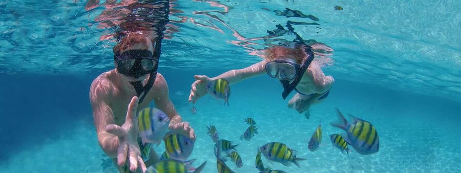 Punta Cana Private Catamaran (Small Group) - What the price really buys you