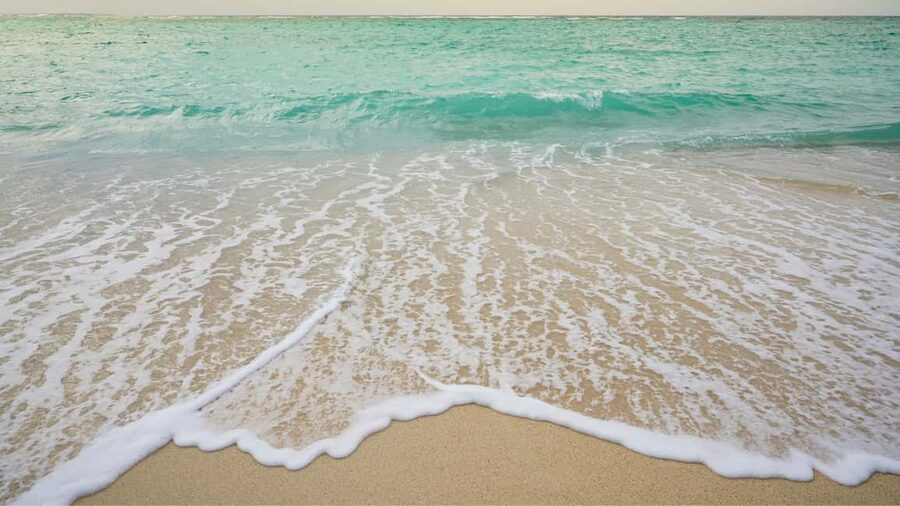 Punta Cana: Saona Island Catamaran Tour with Food & Open Bar - The real value of an eight-hour tour