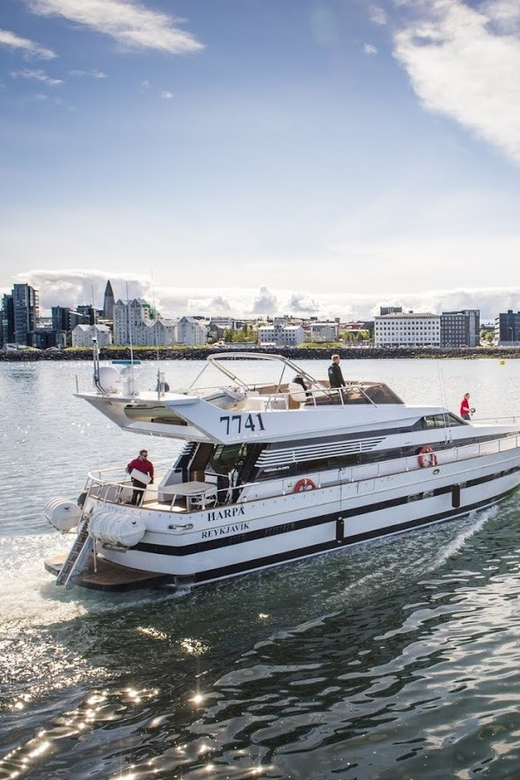 Reykjavík: New Year's Eve Northern Lights Yacht Cruise - The main strengths and weaknesses