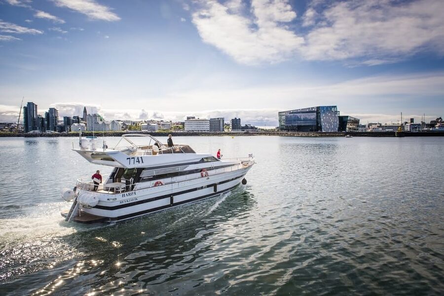 Reykjavík: New Year's Eve Northern Lights Yacht Cruise - Sailing past Viðey Island and Imagine Peace