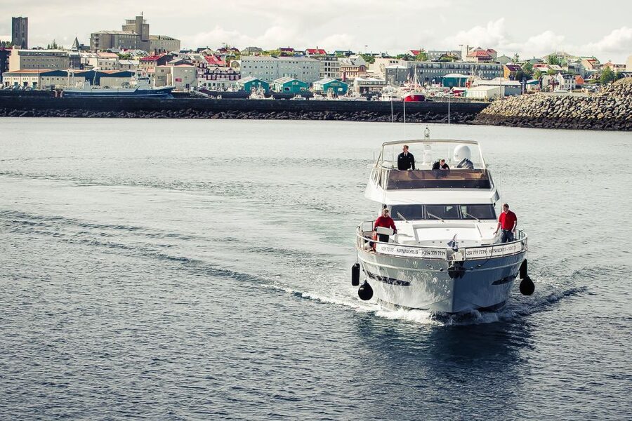 Reykjavik: Whale Watching and Dolphin Watching Yacht Cruise - A yacht built for cold Icelandic weather