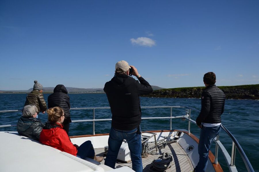 Reykjavik: Whale Watching and Dolphin Watching Yacht Cruise - Who should book this cruise?