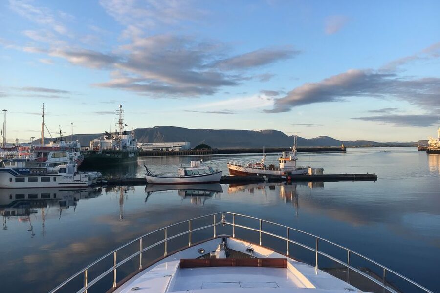 Reykjavik: Whale Watching and Dolphin Watching Yacht Cruise - Summer puffins and Icelandic seabirds