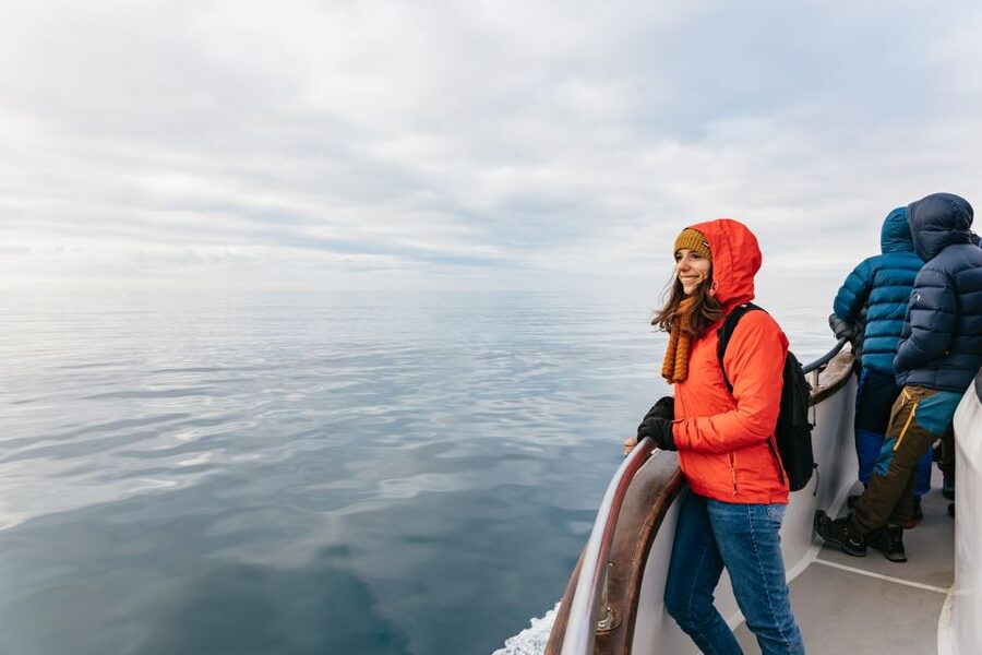 Reykjavík: Whale Watching Cruise on the Amelia Rose Yacht - Pickup, check-in, and small practical details