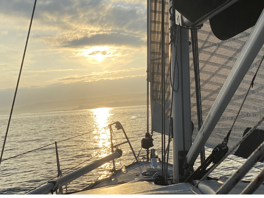Ría de Arousa: Daytime or Sunset Sailboat Cruise with drinks - Looking for dolphins in the open water