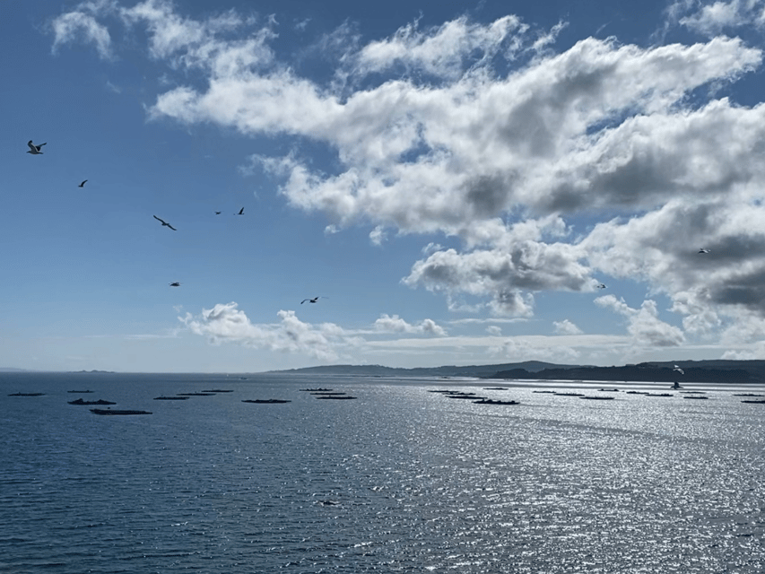 Ría de Arousa: Daytime or Sunset Sailboat Cruise with drinks - Meeting Tomas at Cabo de Cruz