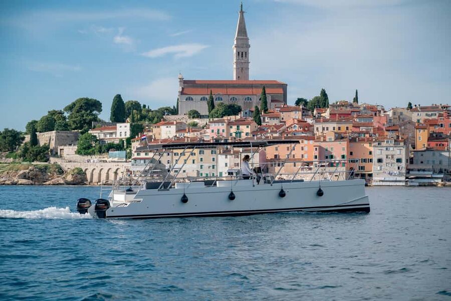 Rovinj: Sunset & dolphin group tours with Catamaran - Meeting the boat at ACI Marina Rovinj