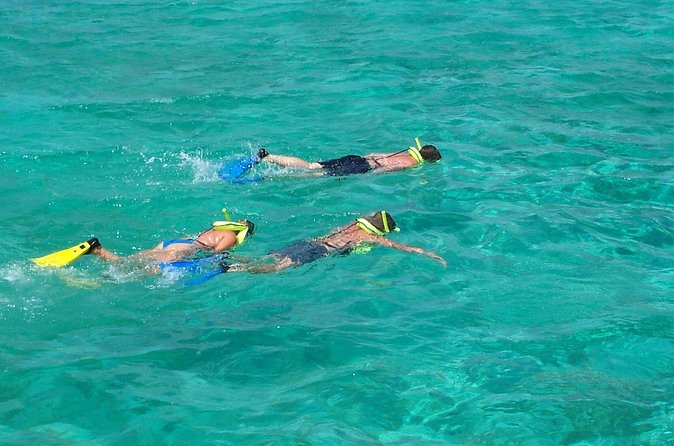 Sail and Snorkel at Cades Reef - How Good Is the $110 Value?